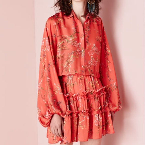 Alexis Loe Blooming Red Dress - Picture 3 of 7